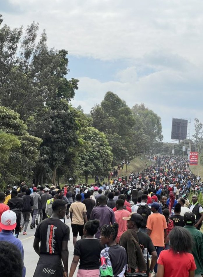 fr@nk™️ tweet media