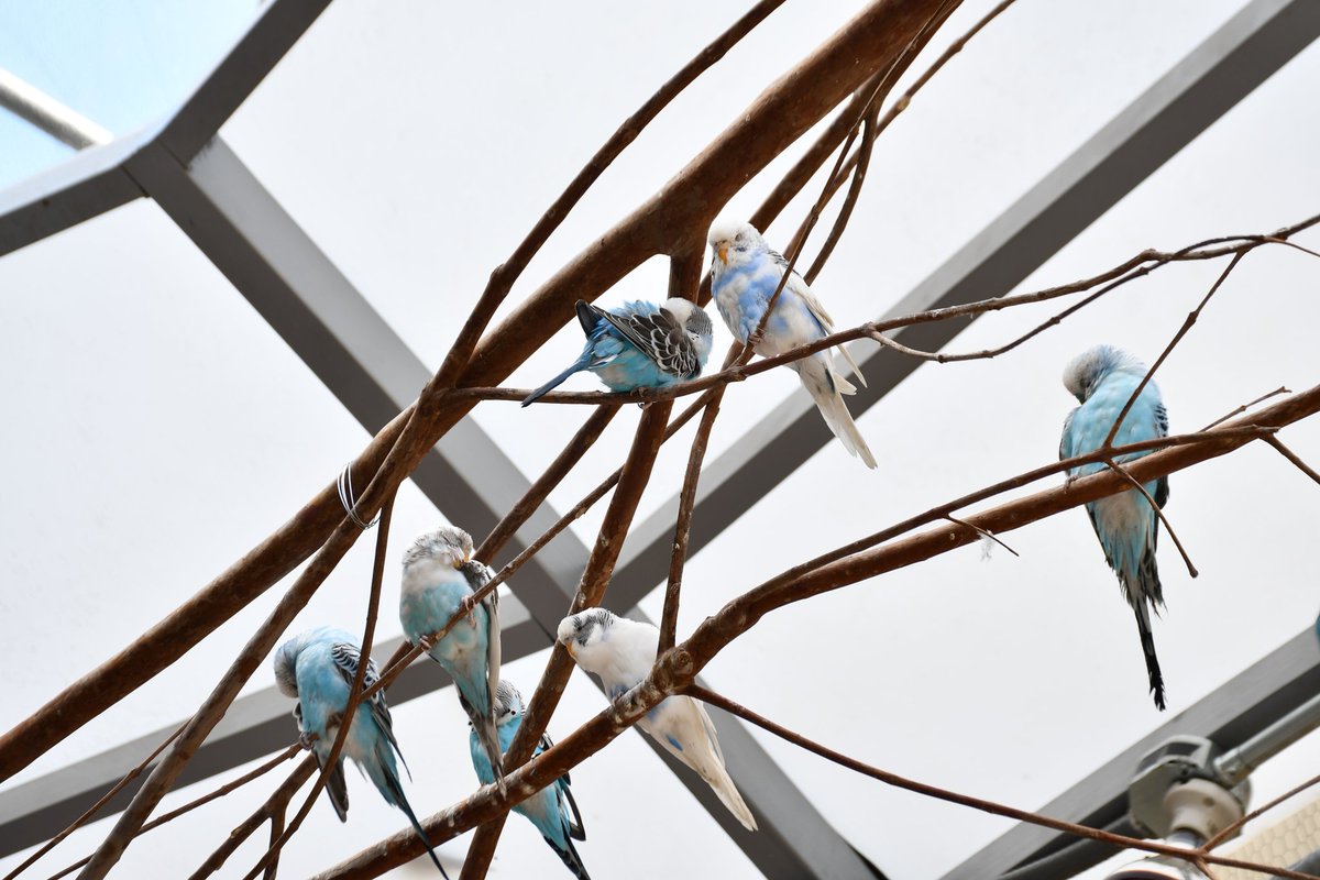 Unileven News tweet media