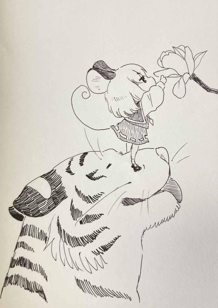 かっぱ tweet media