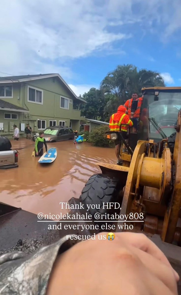 Tiki 🧜‍♀️🐴 tweet media