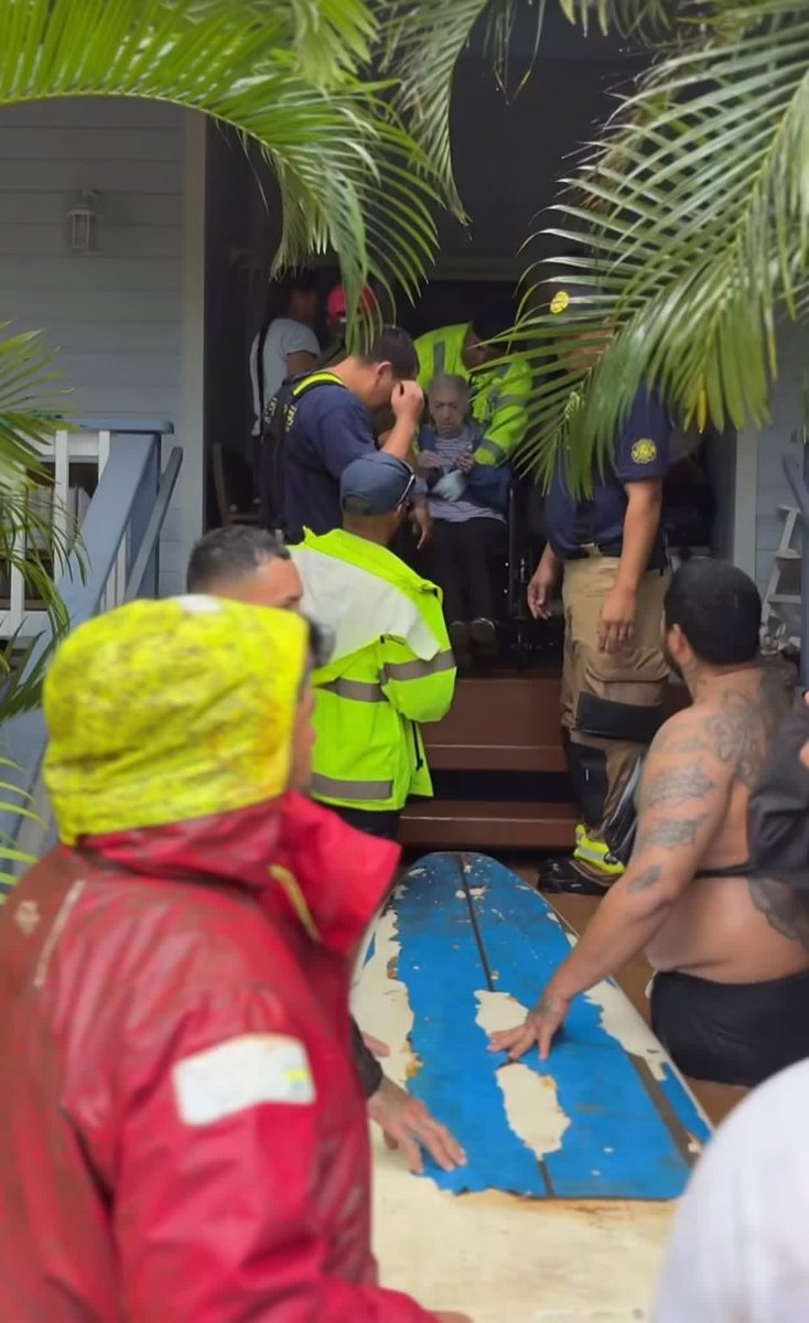 Tiki 🧜‍♀️🐴 tweet media