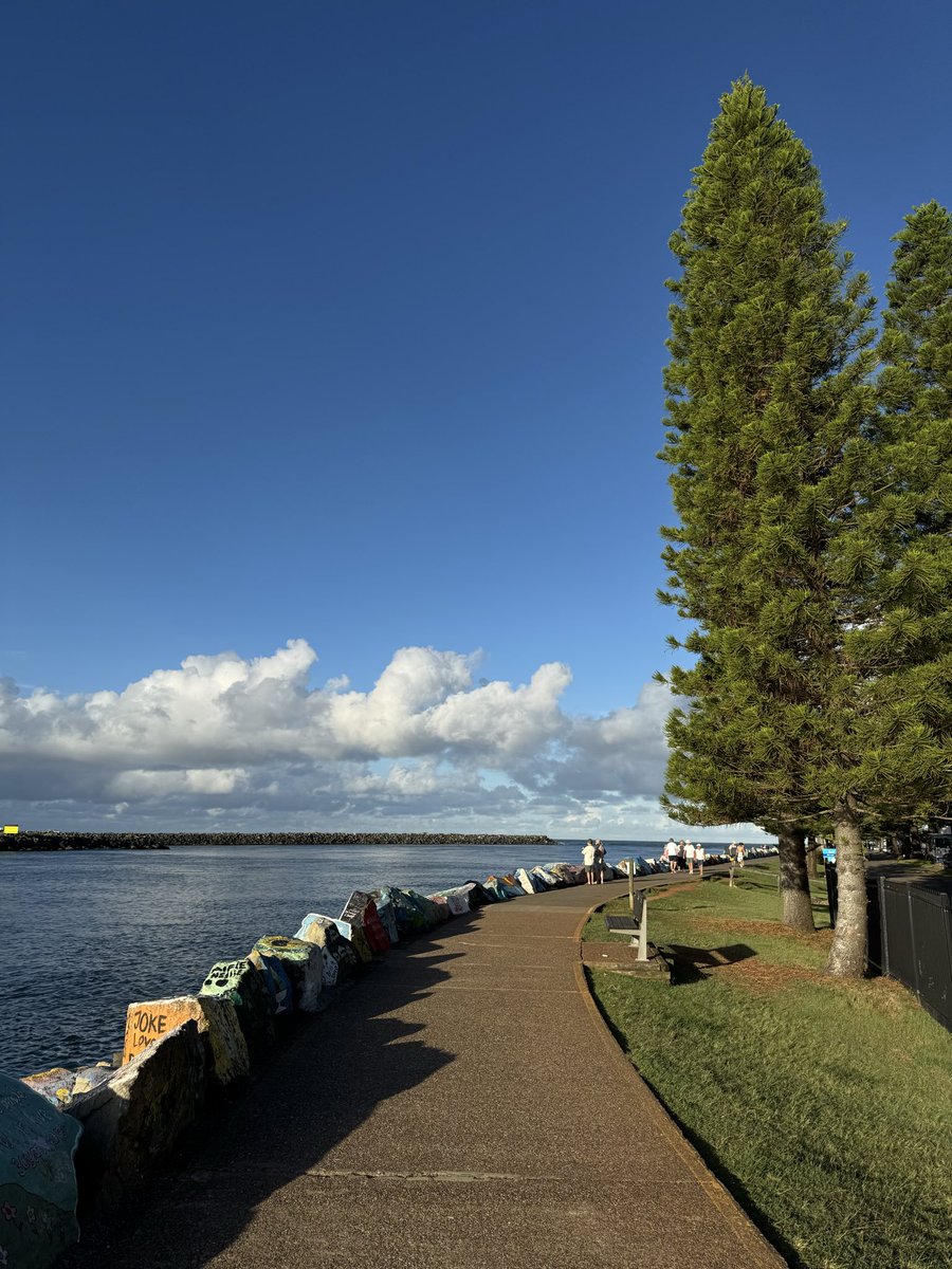 Flomo (BLaw) tweet media