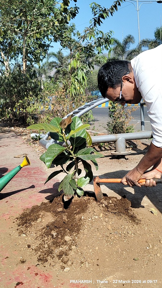 ShbFoundation's tweet photo. #465वॉ सप्ताह (रविवार)

#Mission_Go_Green_India
#हर_मौके_पर_पेड़

23/03/2026 को‌ प्रिवा सोसायटी, लोढ़ा लग्जरियस, बस डिपो मजीवाड़ा, ठाणे (प.) में आयोजित वृक्षारोपण कार्यक्रम में जन्मदिन के नाम पर एक(1) पौधे सहित कुल दो(2) पौधों का रोपण किया गया एवं अन्य लगे पौधों को पानी दिया गया। https://t.co/OTDKHhM74F