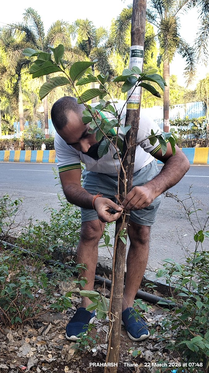 ShbFoundation's tweet photo. #465वॉ सप्ताह (रविवार)

#Mission_Go_Green_India
#हर_मौके_पर_पेड़

23/03/2026 को‌ प्रिवा सोसायटी, लोढ़ा लग्जरियस, बस डिपो मजीवाड़ा, ठाणे (प.) में आयोजित वृक्षारोपण कार्यक्रम में जन्मदिन के नाम पर एक(1) पौधे सहित कुल दो(2) पौधों का रोपण किया गया एवं अन्य लगे पौधों को पानी दिया गया। https://t.co/OTDKHhM74F