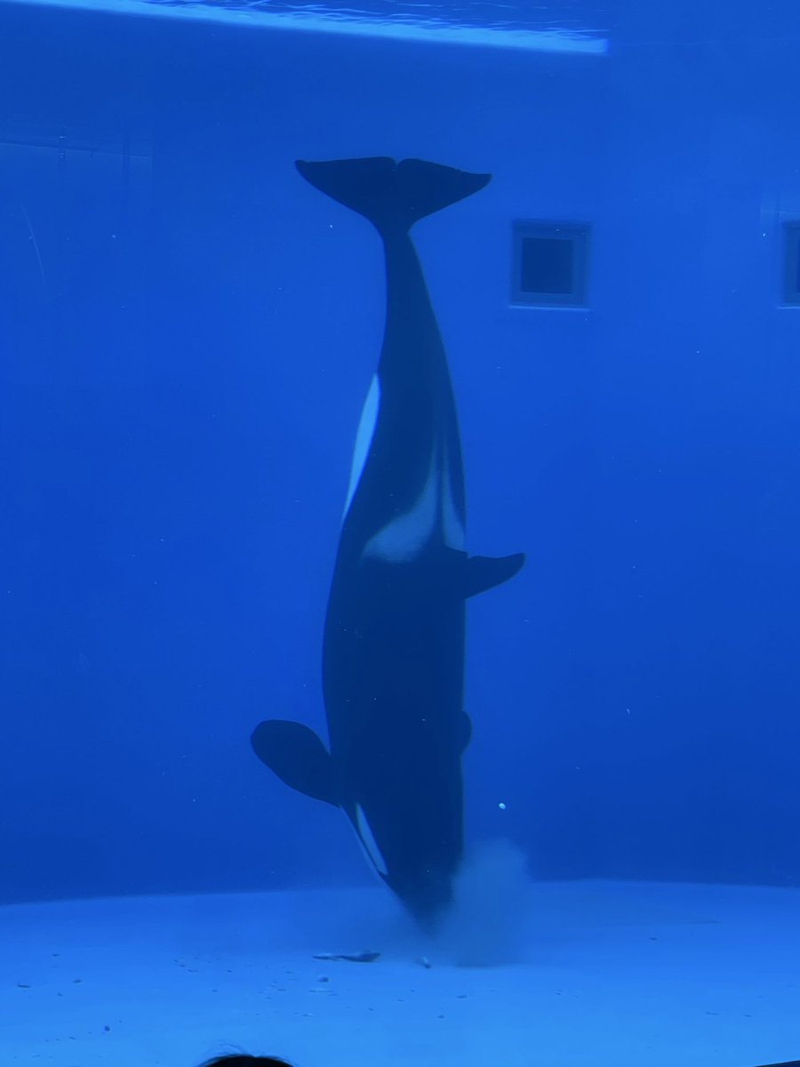 HARUKI / UNCHAIN Community Lead tweet media