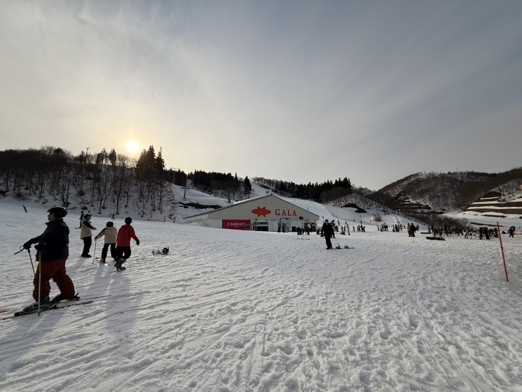 王局志安 tweet media