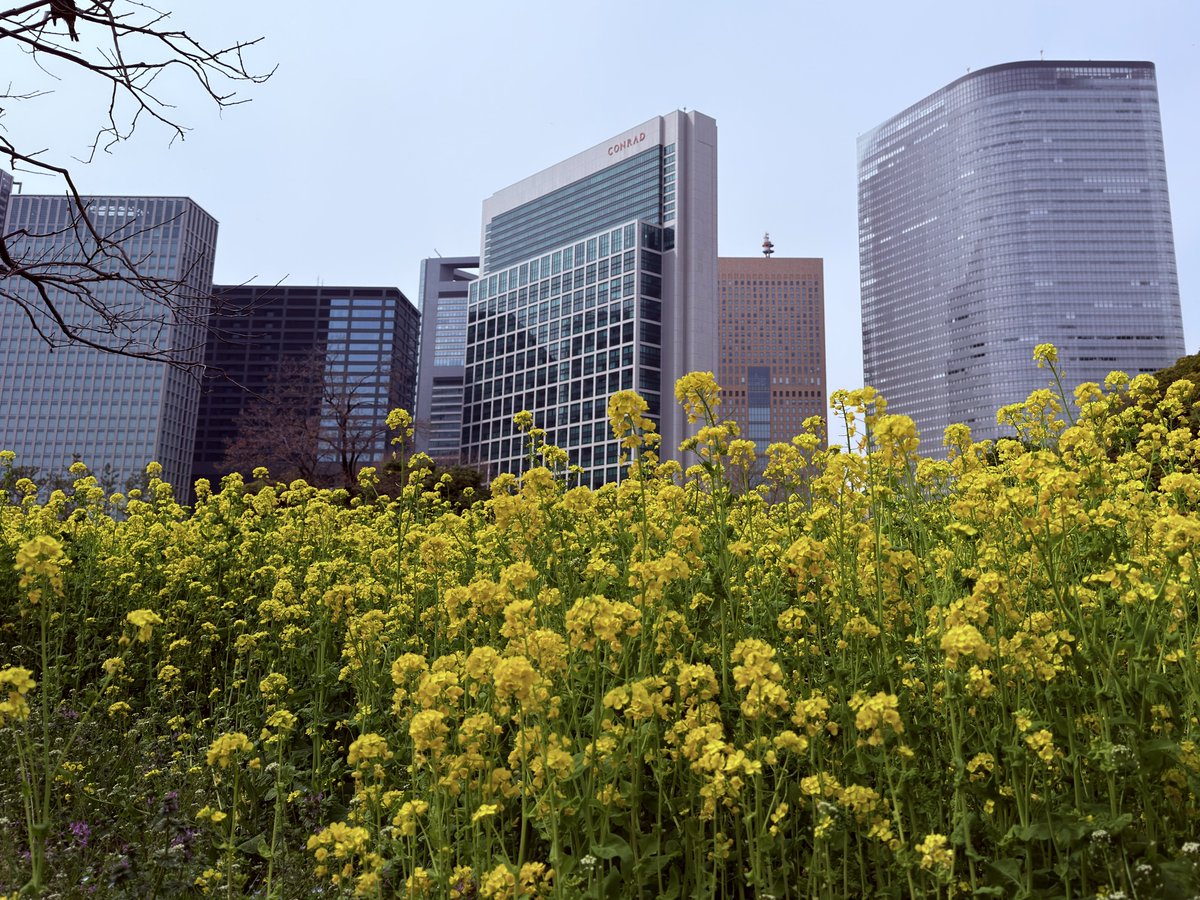 じゅん tweet media