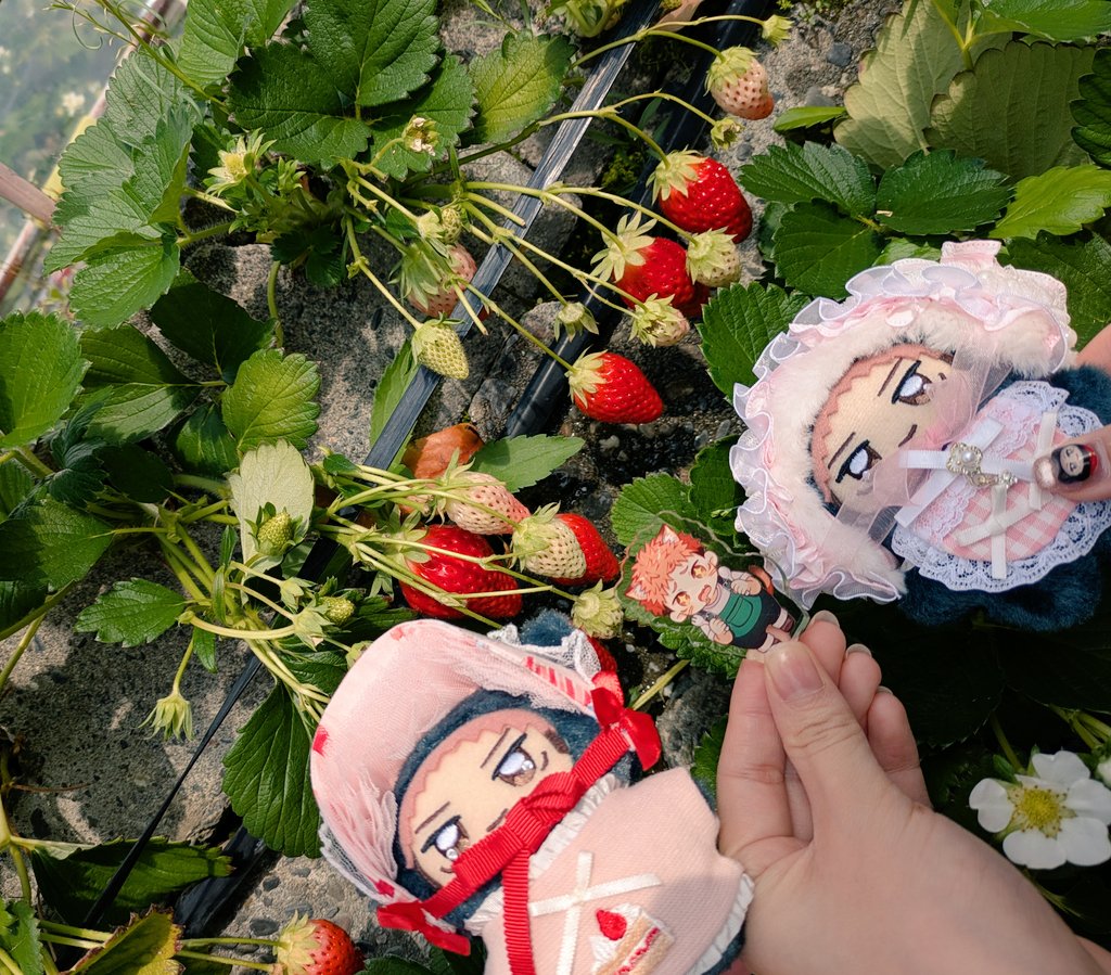 つぃ🐯 tweet media