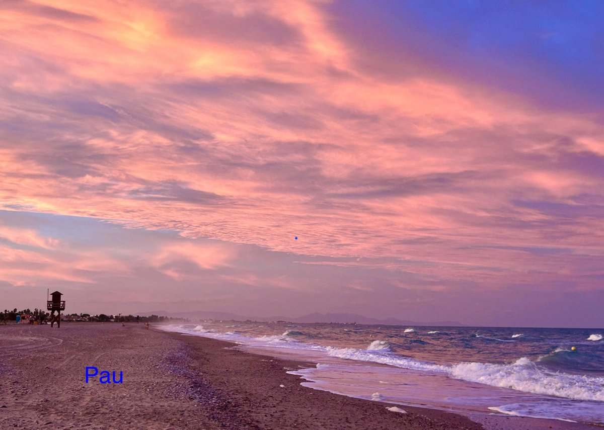 🅿️au lee tweet media