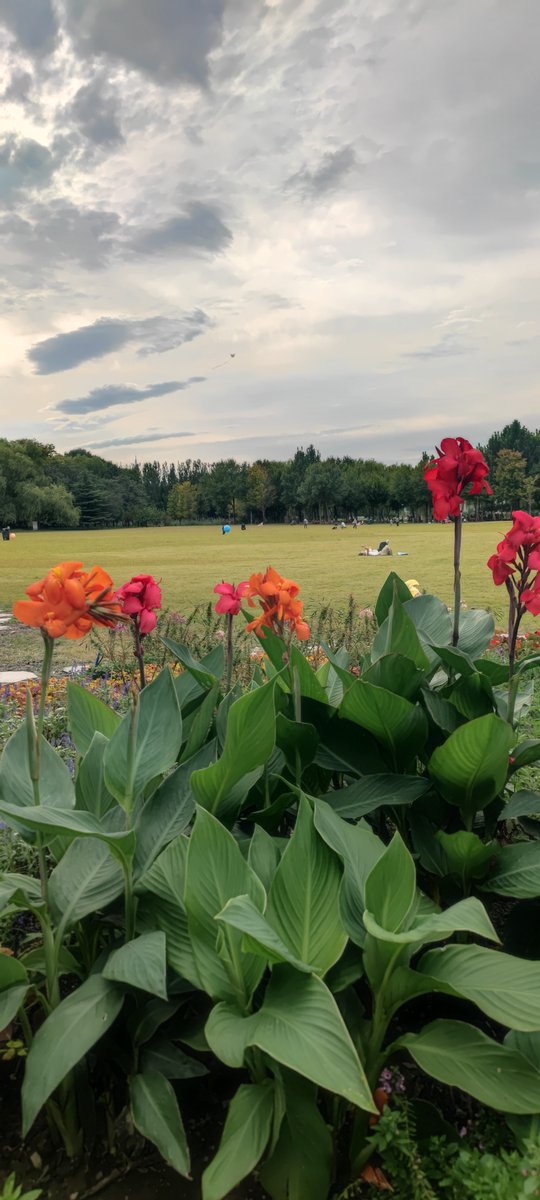 prosper mutamba tweet media