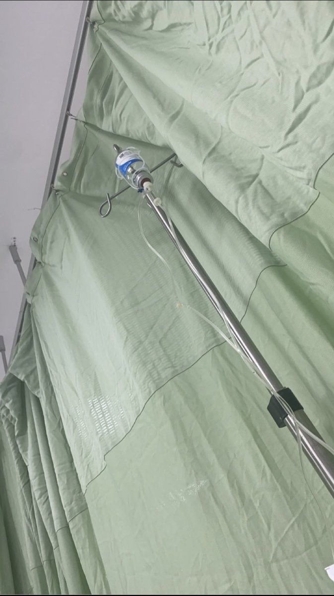 نوووف💕 tweet media