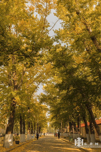 Deanna Reinhart tweet media