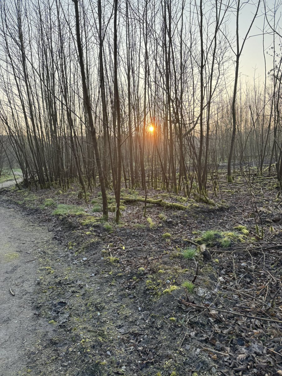 fluweel's tweet photo. Het is goed wandelen in Flevoland. Wat een ruimte natuur en zondagochtend stilte ☀️🐕‍🦺🍀🍀❤️
#ochtendstond https://t.co/sY6HUmQ2pz