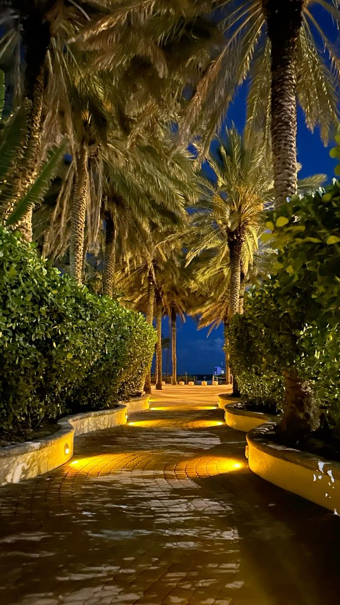 Wander Aesthetic tweet media