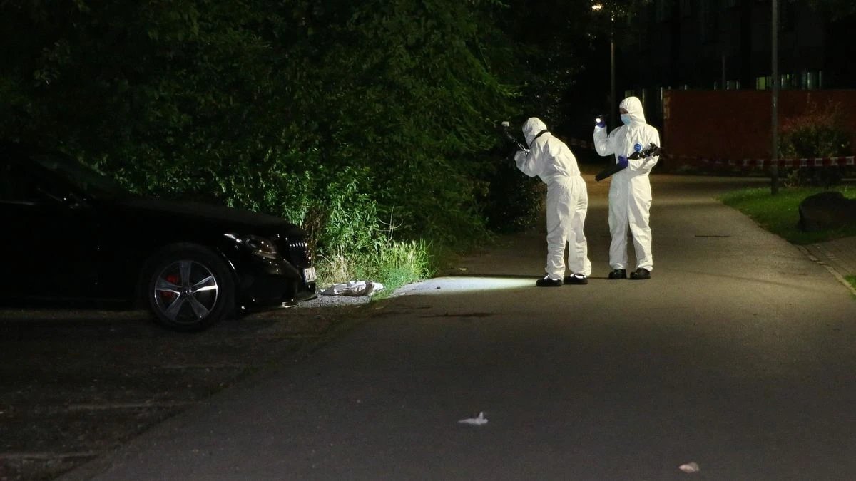 Adam Gwiazda tweet media