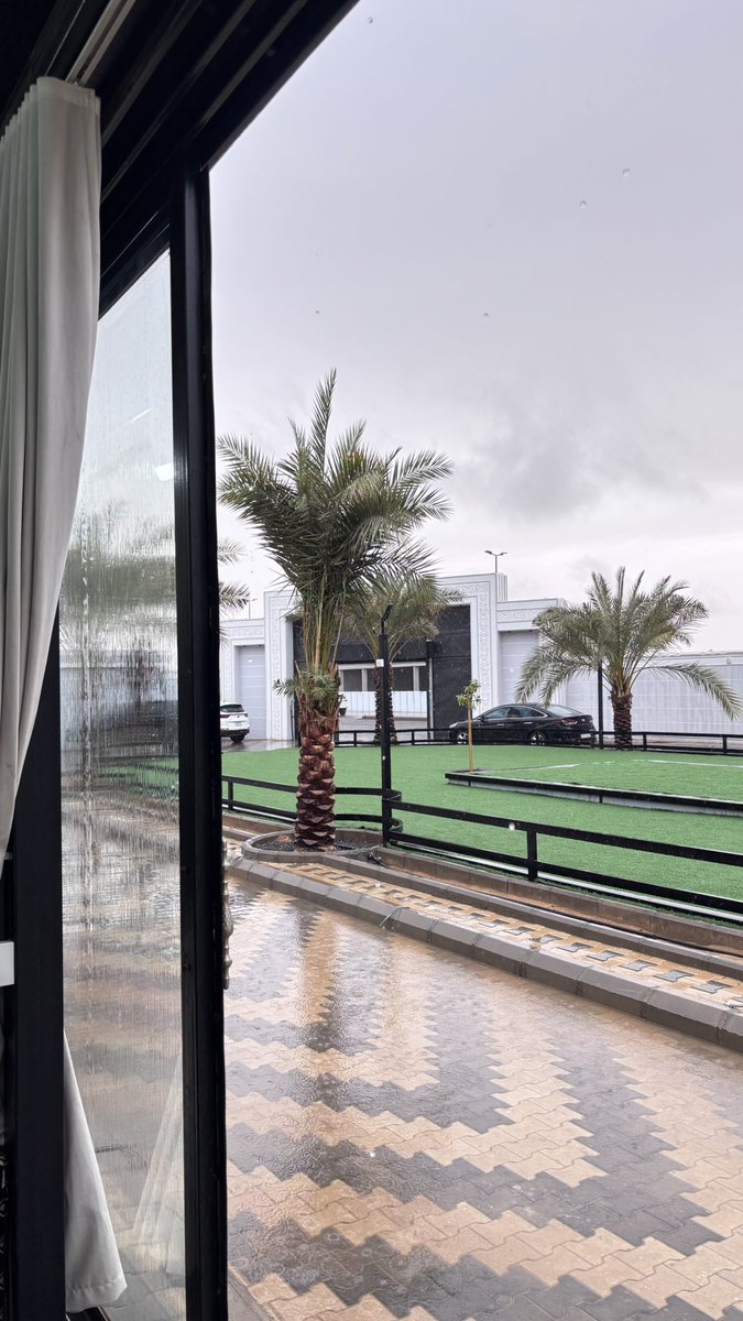 مشاري tweet media