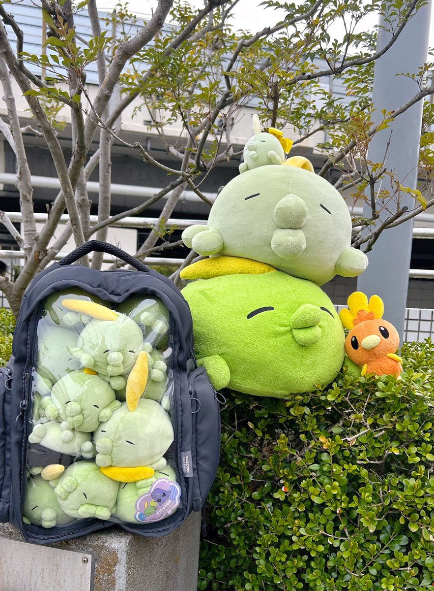 嘆いてた矢先にゴクリン好きなアチャモのトレーナーさんにお声がけ頂いたのほんっっっとうに嬉しすぎるし記念写真まで撮らせてくださって幸せ😭💕 ありがとうございました✨✨✨