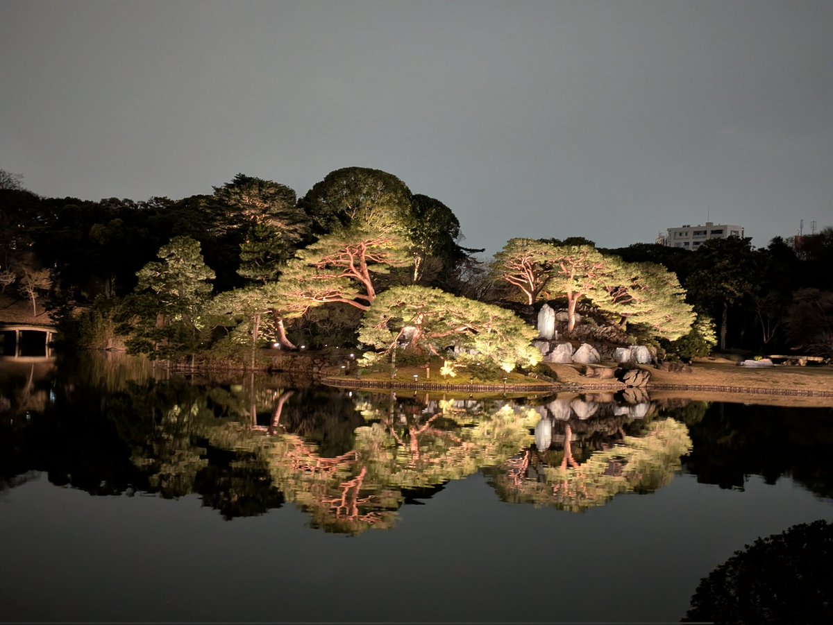 hide_mon_'s tweet photo. 六義園のライトアップで桜を見たあとのグリルKでステーキとハンバーグ
付け合せの野菜も美味しく幸せ度が上がるお店 https://t.co/1a6sC8EITB