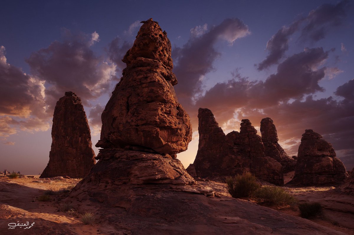 أبو يارا tweet media