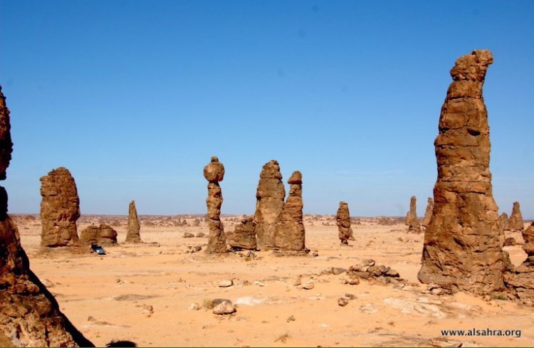 أبو يارا tweet media