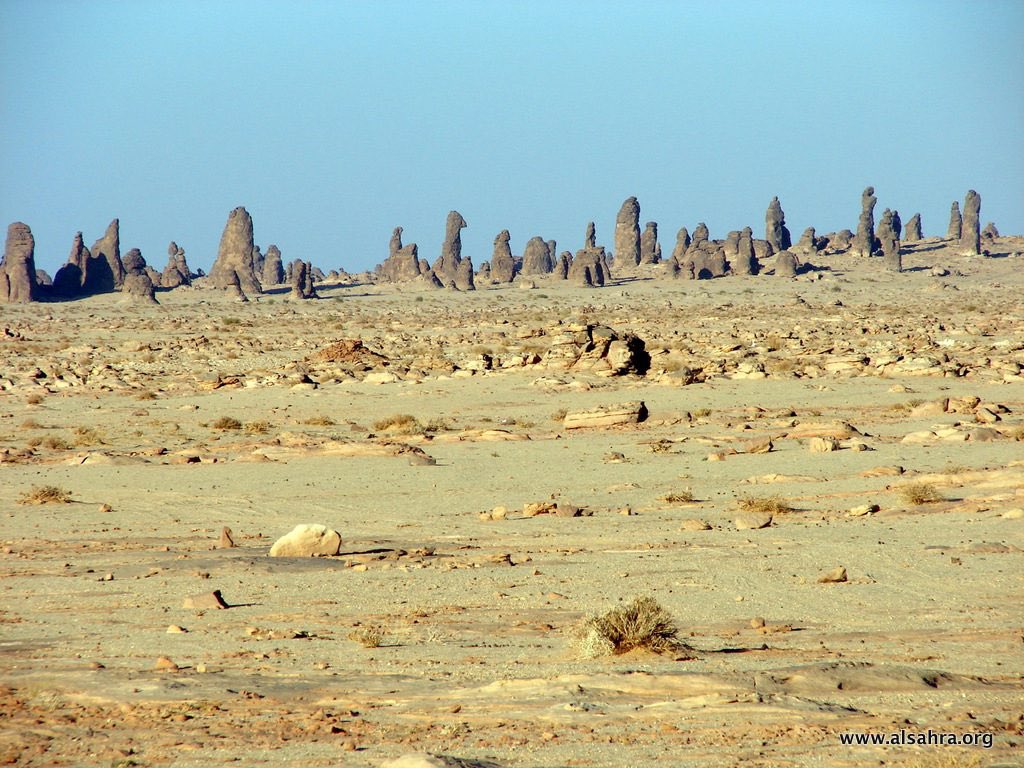 أبو يارا tweet media