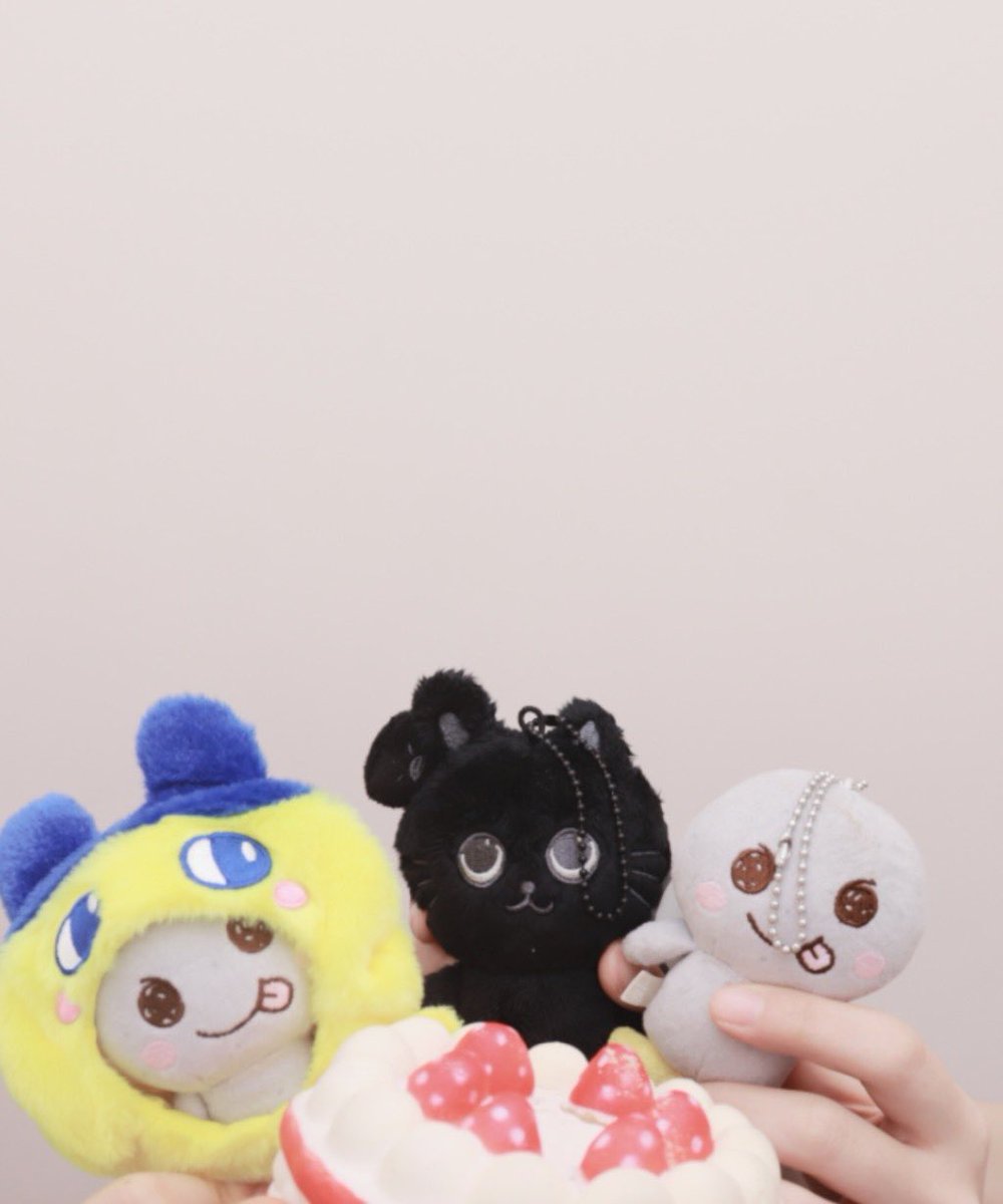 양말🍓 tweet media