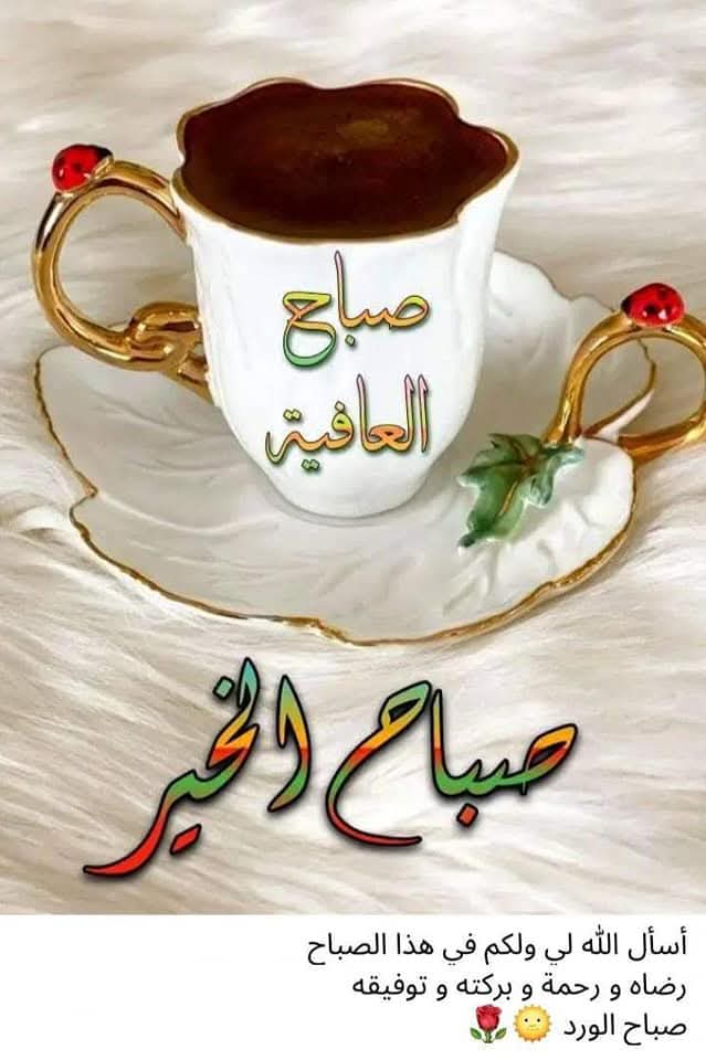 ابو العبد ابراهيم (احتياطي) tweet media