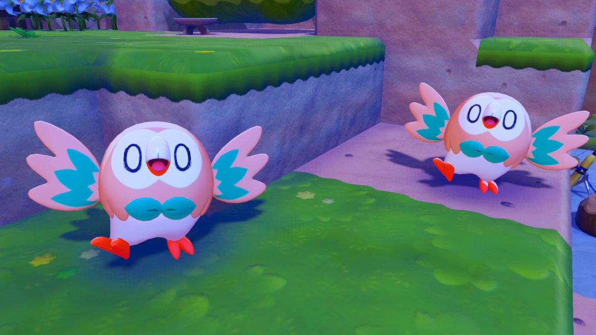 안모리 tweet media