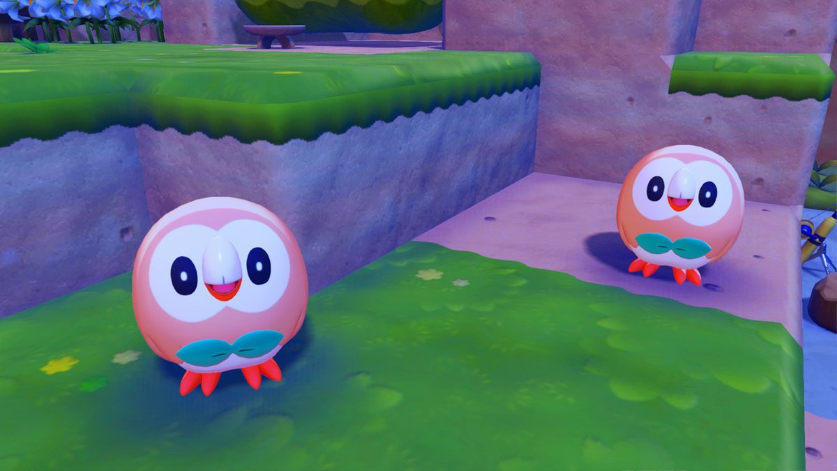 안모리 tweet media