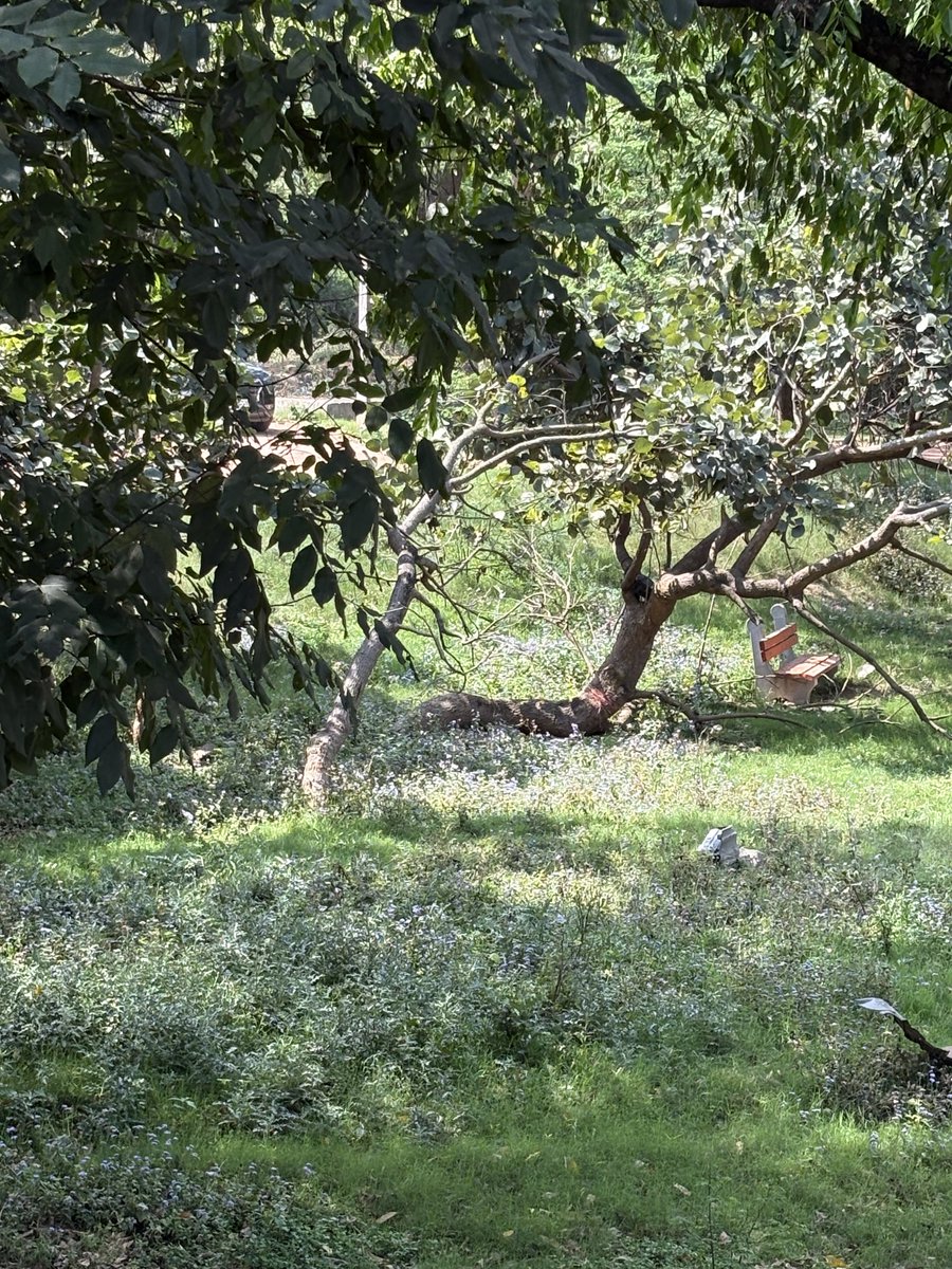 Ira Mukhoty tweet media