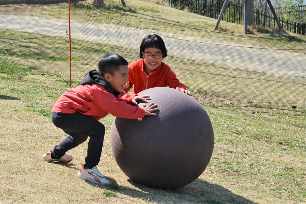 メッツァ公式 tweet media