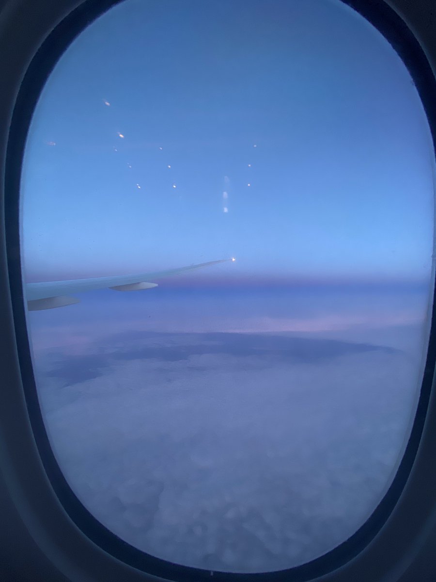 смерть от кофеина tweet media