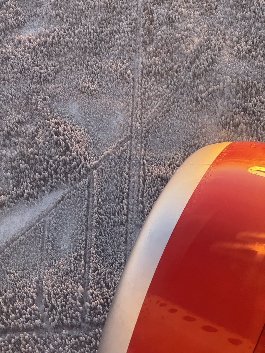 смерть от кофеина tweet media