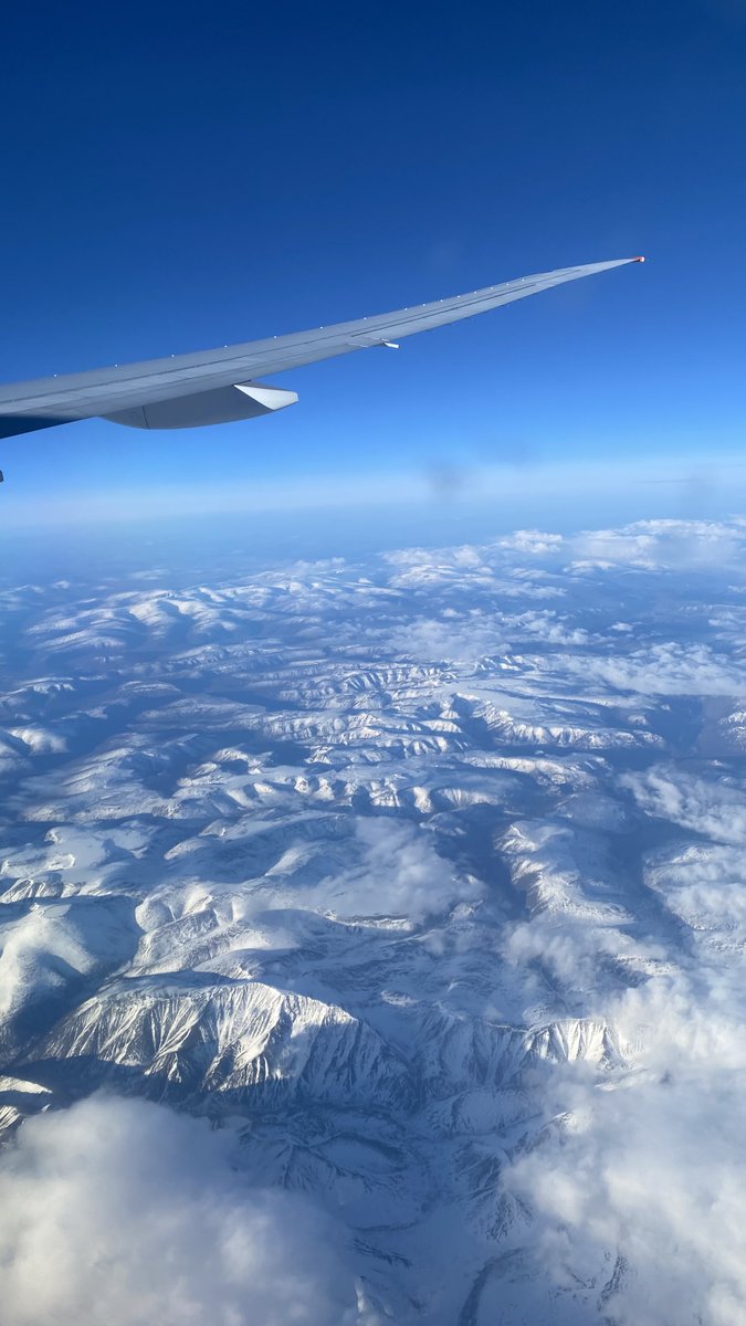 смерть от кофеина tweet media