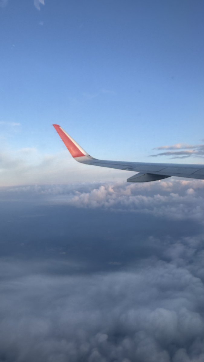 смерть от кофеина tweet media