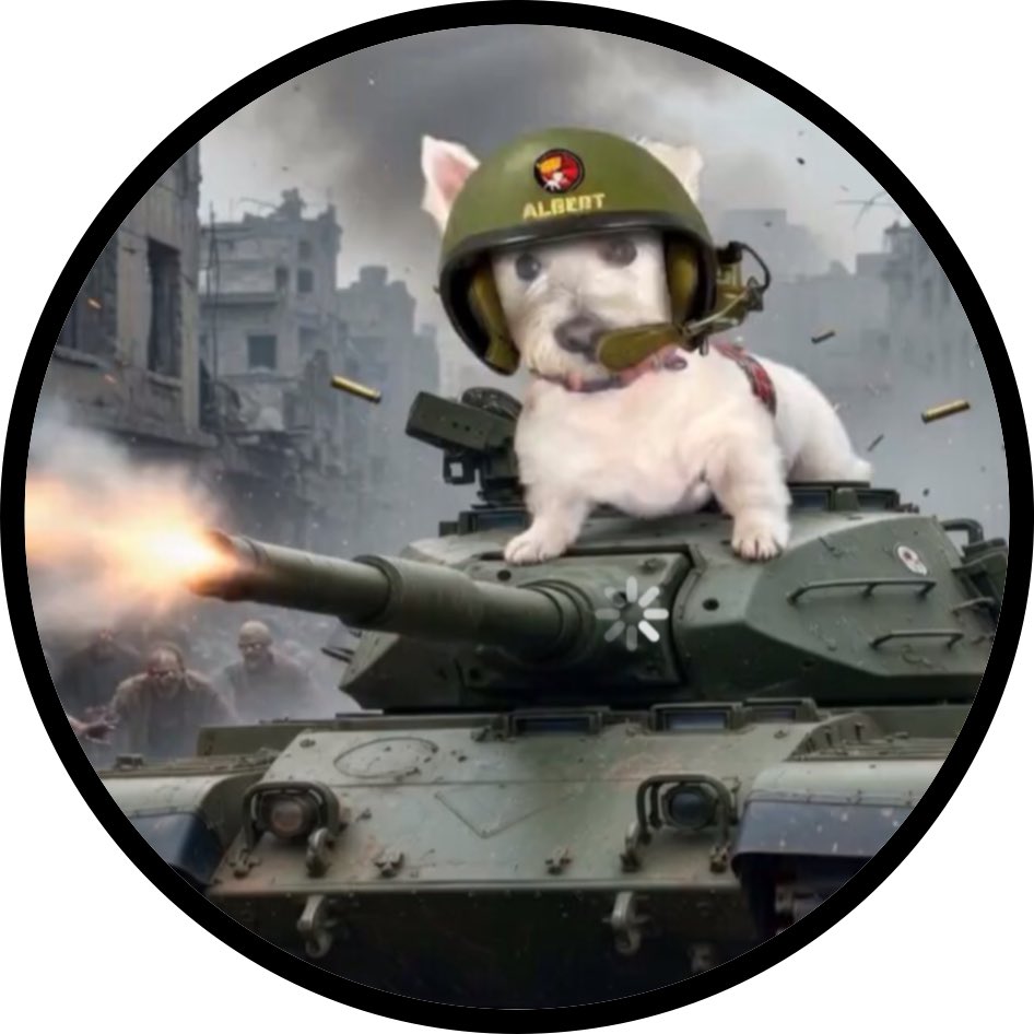 Wabbit & Henry #ZSHQ 🐰🐶 tweet media