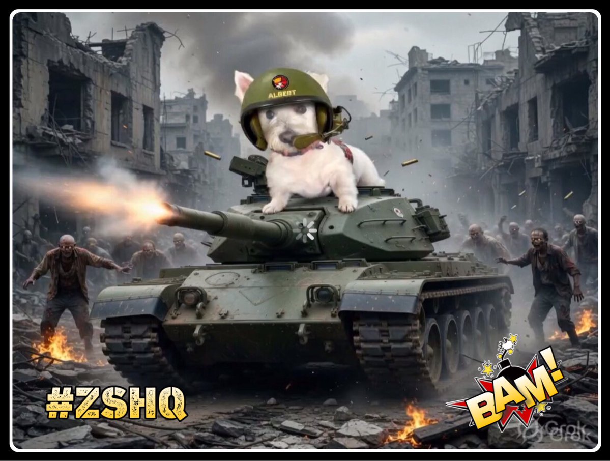 Wabbit & Henry #ZSHQ 🐰🐶 tweet media