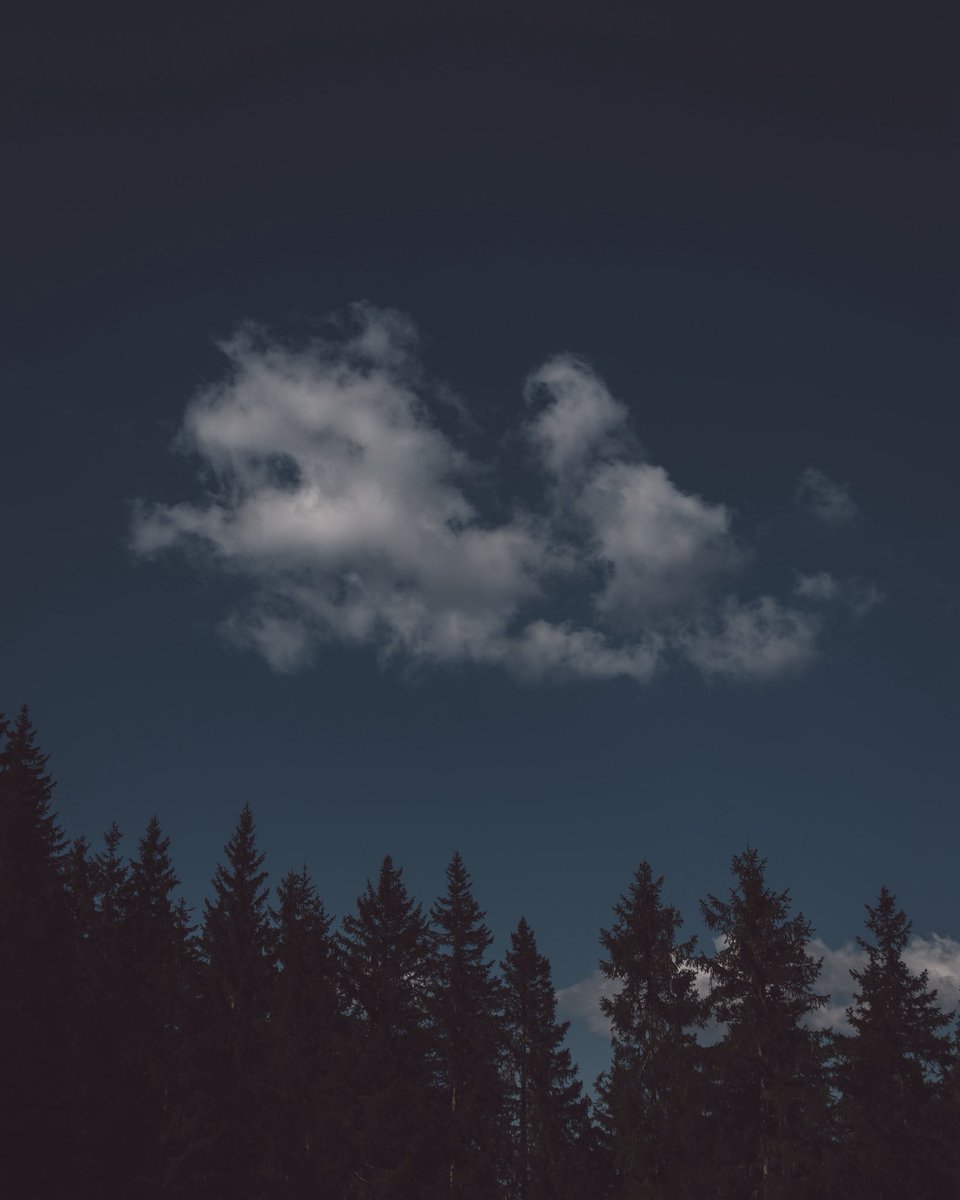 G Rainer tweet media