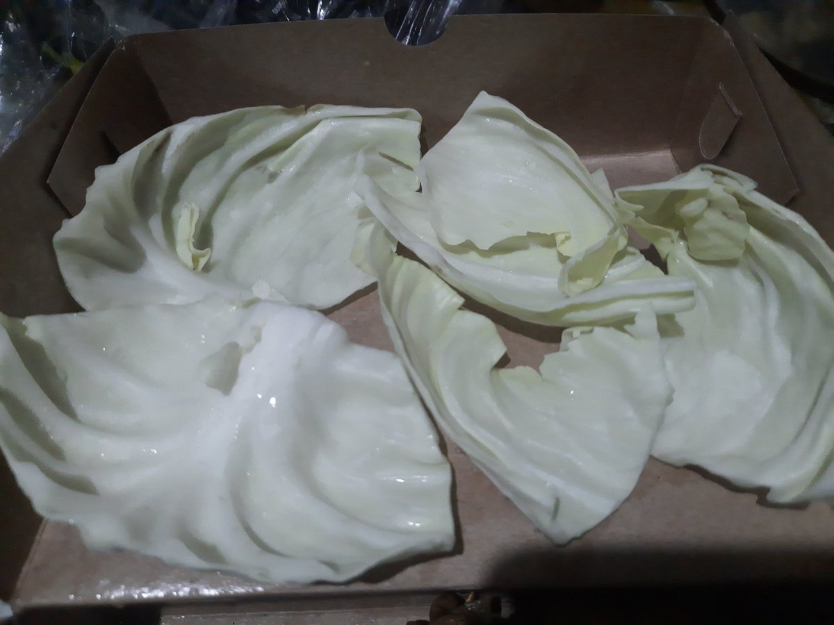 roje🐟🍎 tweet media