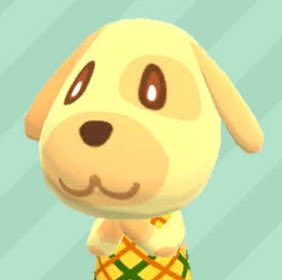 이시보 tweet media