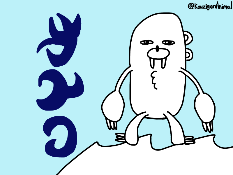 こうじげんのかいぬし🍩【こうじげんどうぶつ】 tweet media