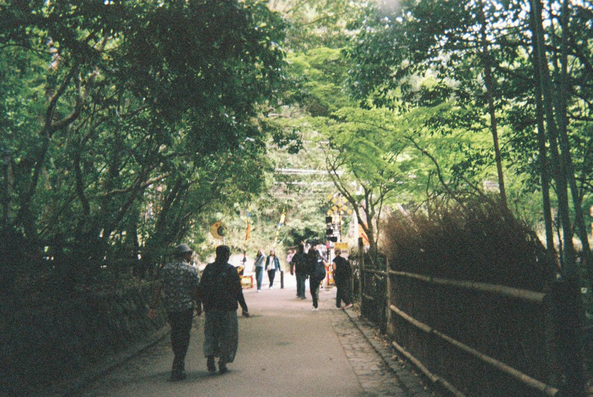 이사벨 tweet media