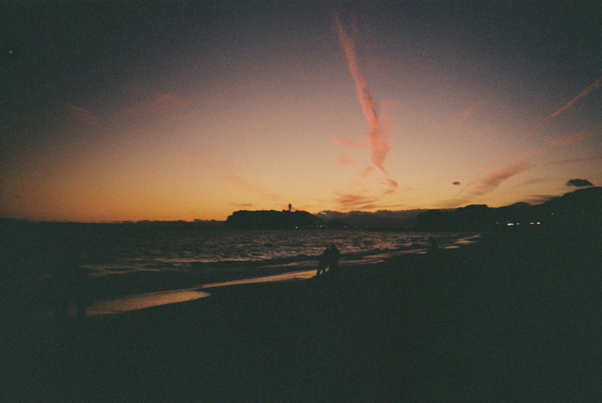 이사벨 tweet media