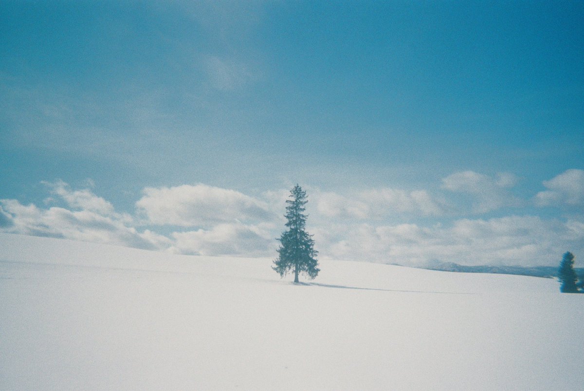 이사벨 tweet media