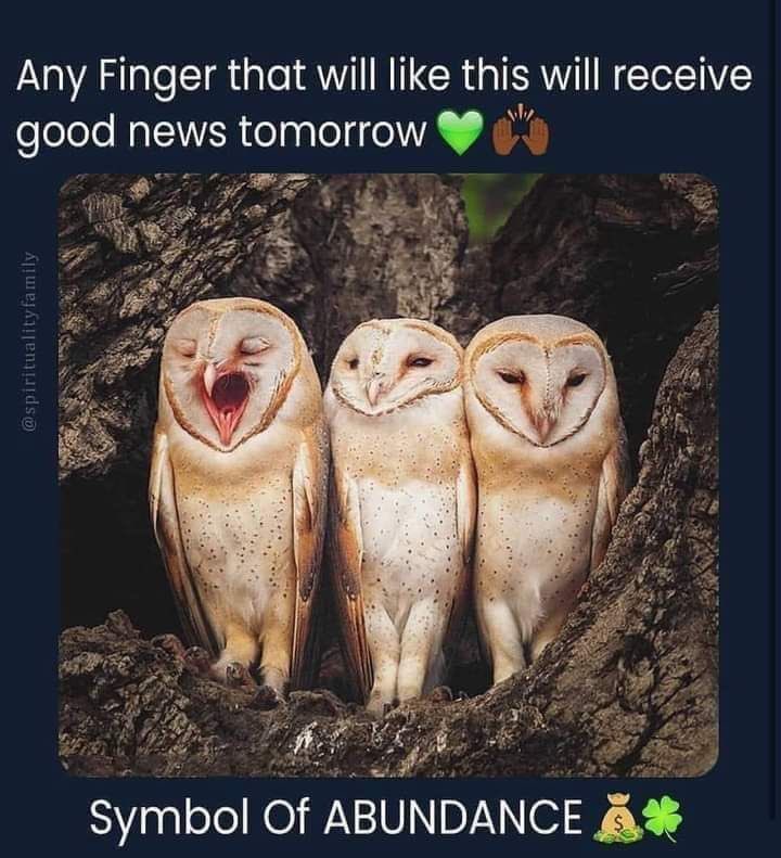 Law Of Attraction Coach tweet media