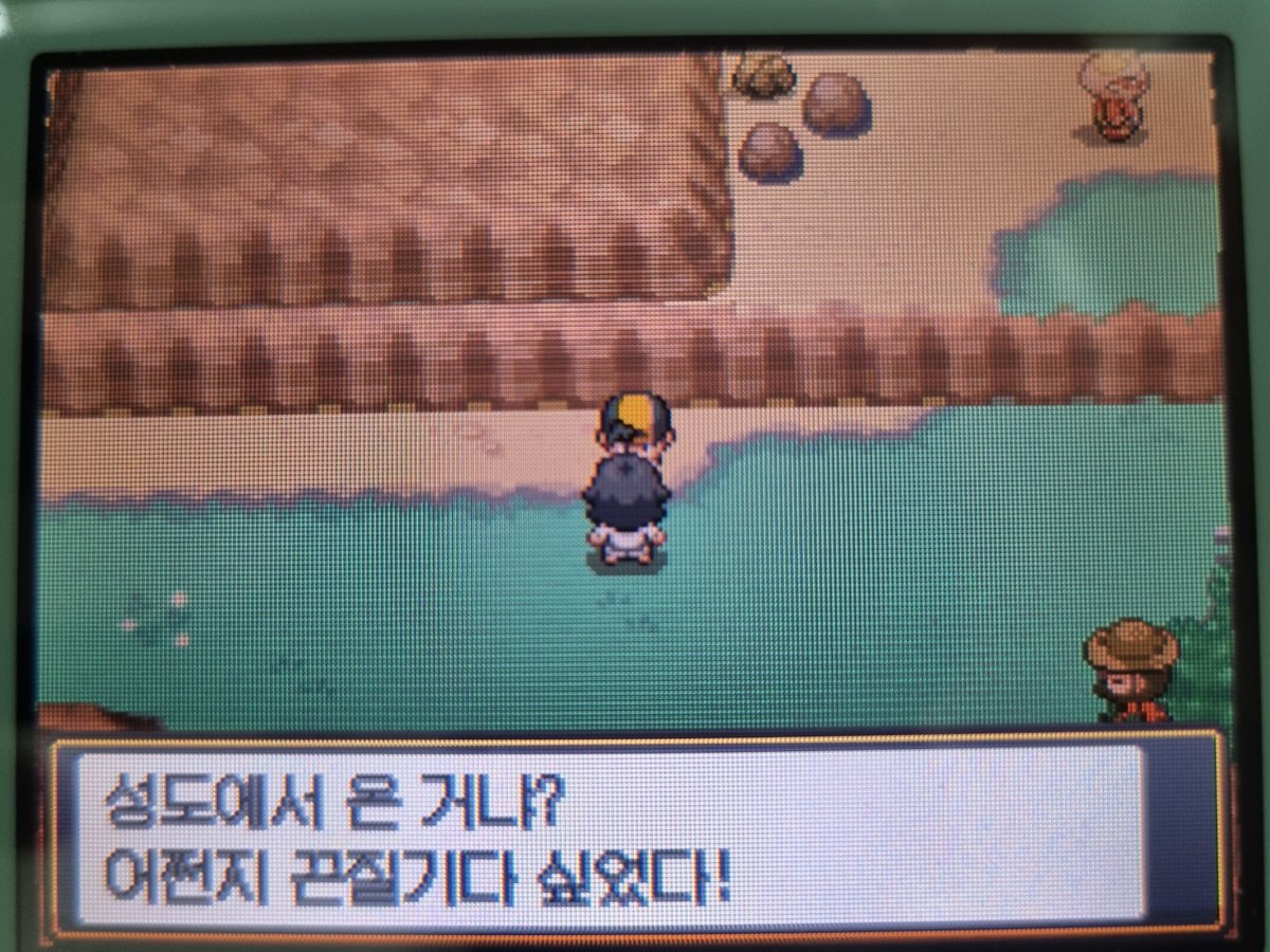 코돌이 tweet media