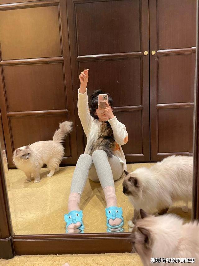 Consentidos Oficial tweet media