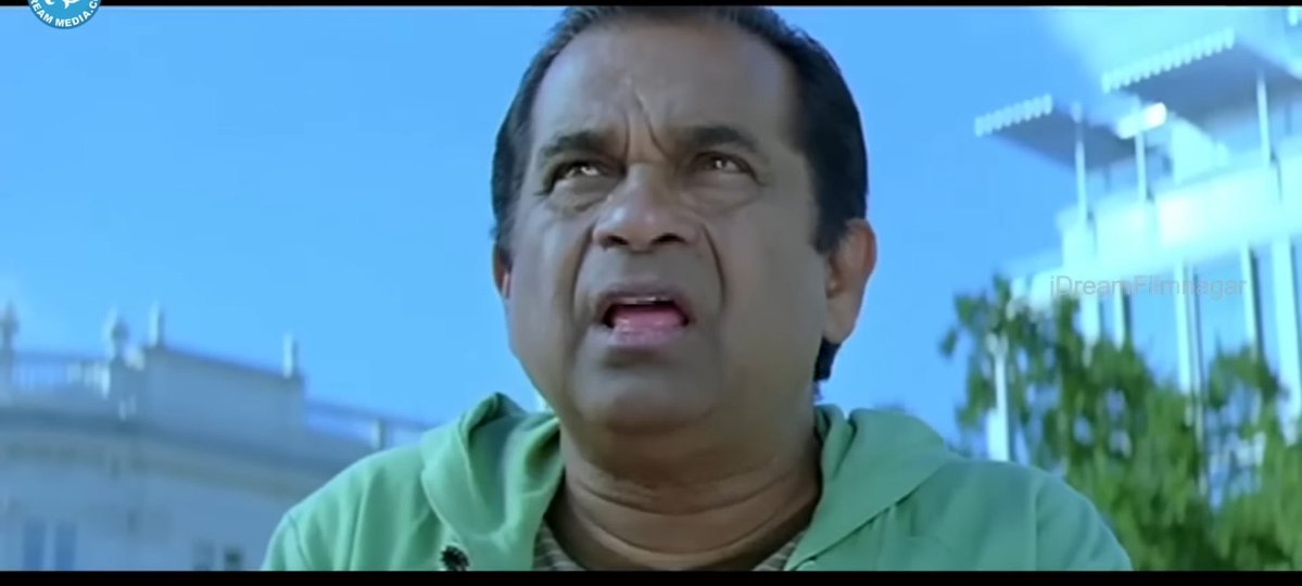 AllHailThala🐉-🦈-🦚 tweet media