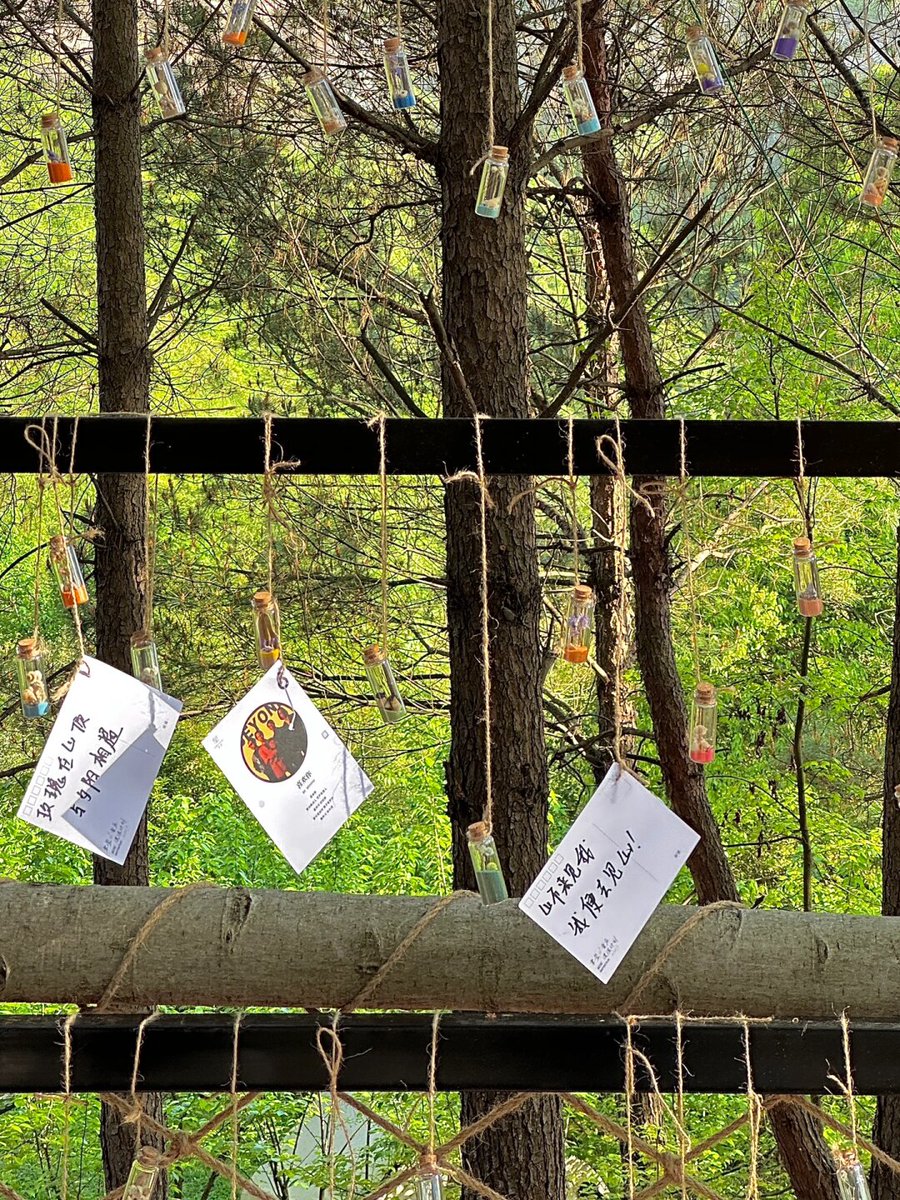 Péter Kovács tweet media