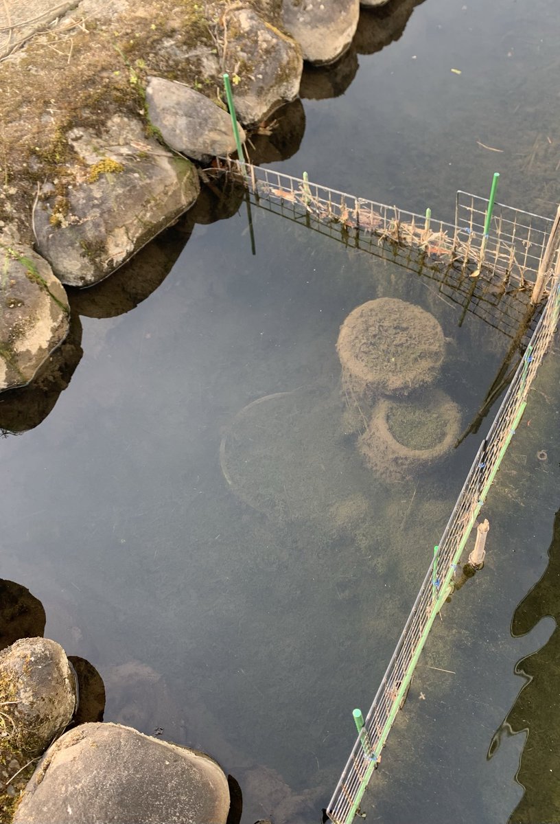 神鳥遊撃隊 tweet media